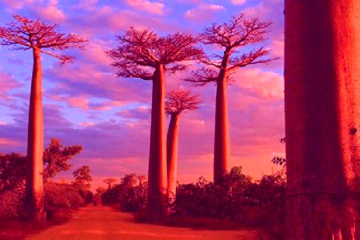 Amelia, 39 — Escort in Morondava, Madagascar