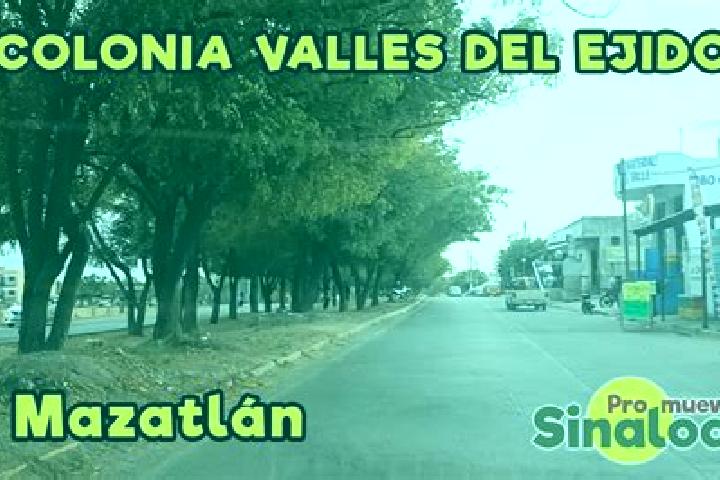 Amelia, 39 — Escort in San Martin Ejido, Mexico