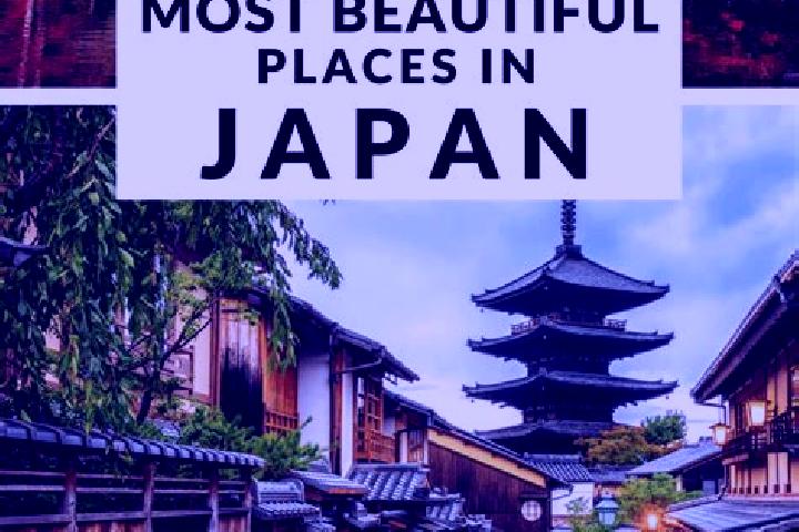 Amelia, 39 — Escort in Tamagawa, Japan
