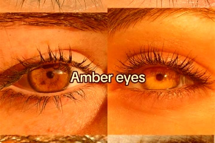 Aria, 20, a brunette amber-eyed caucasian companion based in Sellin. Offering A-Level, GFE, Fetish. Available for incall and outcall, day and evening dates.