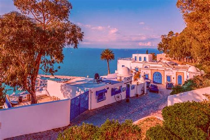 Aria, 20, a chestnut grey-eyed european companion based in Sidi Bou Said. Offering Tantra, Dinner Date, Erotic Massage. Available for incall and outcall, day...