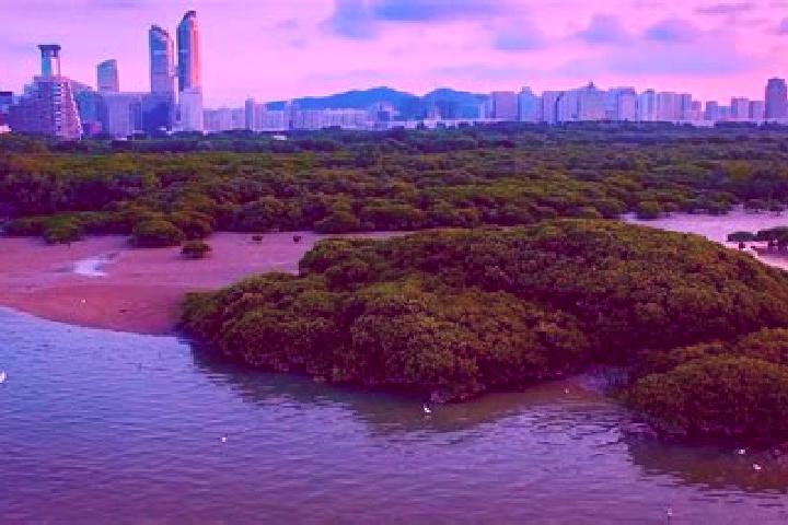 Aria, 20 — Escort in Danshui, China