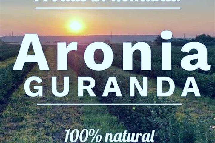 Aria, 20 — Escort in Guranda, Romania