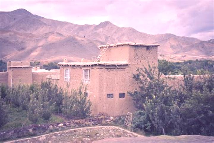 Aria, 20 — Escort in Mir Bachah Kot, Afghanistan