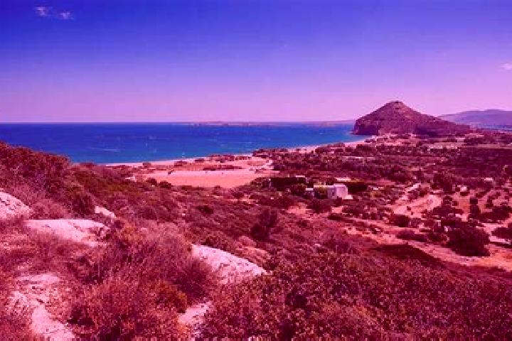 Aria, 20 — Escort in Palekastro, Greece