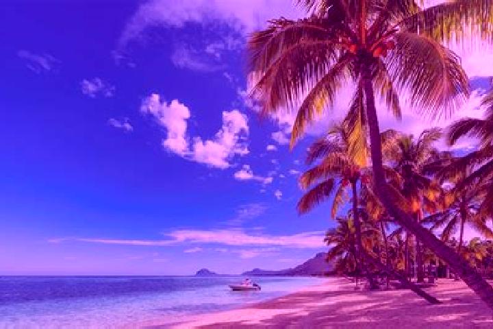 Aria, 20 — Escort in Petit Bel Air, Mauritius