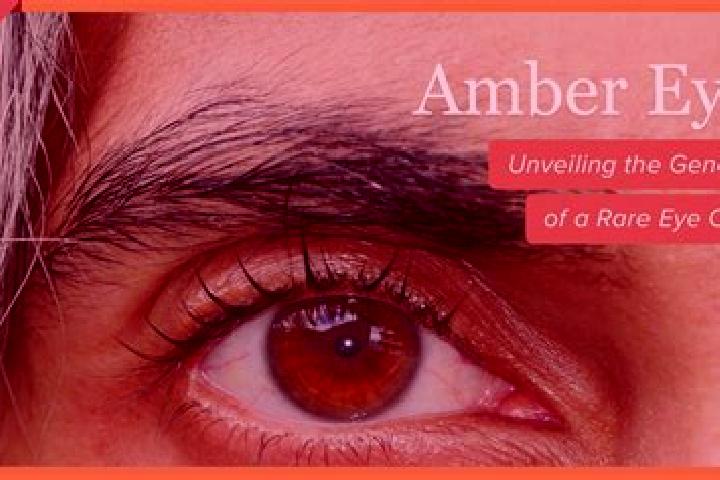 Aria, 21, a black amber-eyed ebony companion based in Burseryd. Offering Fetish, Overnight, Erotic Massage, CIM. Available for incall and outcall, overnight ...