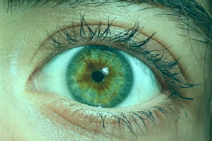 Aria, 21, a red hazel-eyed mediterranean companion based in Alfafara. Offering Overnight, CIM. Available for incall and outcall, day and evening dates.
