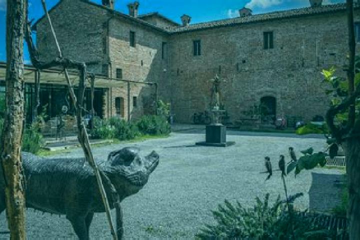Aria, 21 — Escort in Trecasali, Italy