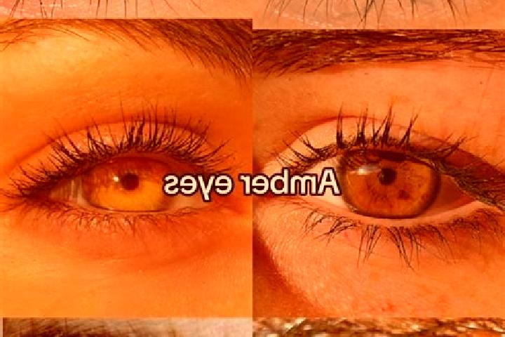 Aria, 22, a chestnut amber-eyed middle eastern companion based in Lindenheuvel. Offering Duos, Girlfriend Experience. Available for incall and outcall, overn...