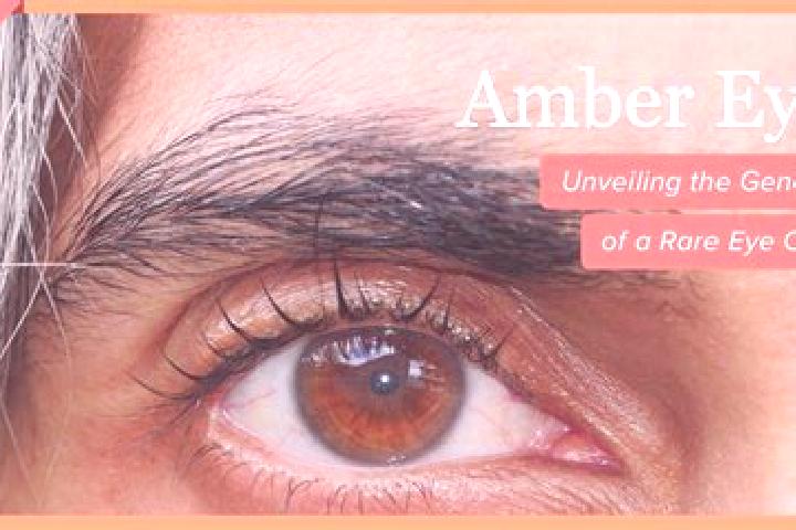 Aria, 22, a red amber-eyed mediterranean companion based in Wierzbno. Offering Domination, 69, Girlfriend Experience, Deep French Kissing, Overnight. Availab...