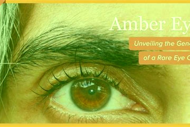 Aria, 22, a red amber-eyed mixed companion based in Margaret River. Offering BDSM, Domination, Tantra. Available for incall and outcall, overnight bookings a...