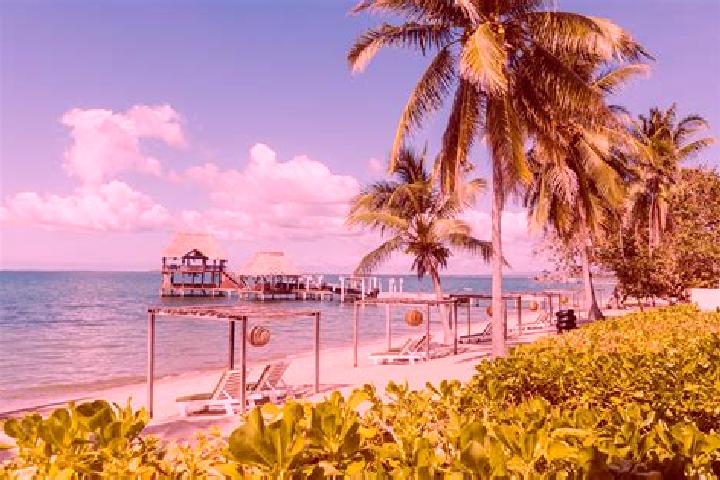Aria, 22 — Escort in Sand Hill, Belize