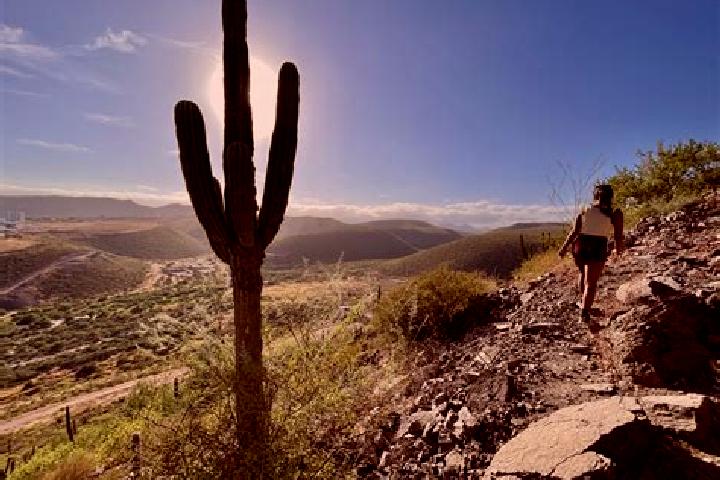 Aria, 23 — Escort in Cerro de la Esperanza, Mexico