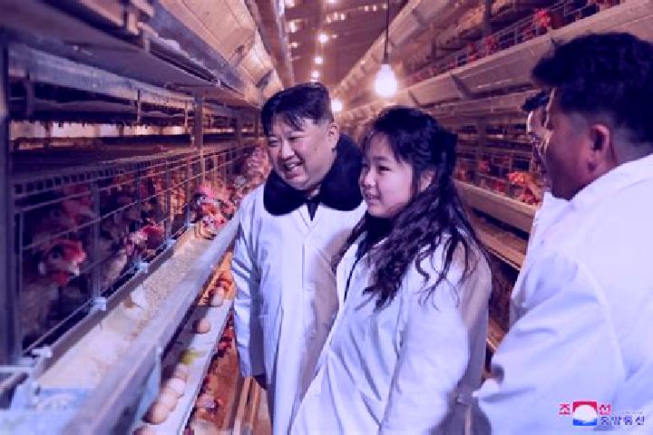 Aria, 23 — Escort in Hwangju-up, North Korea