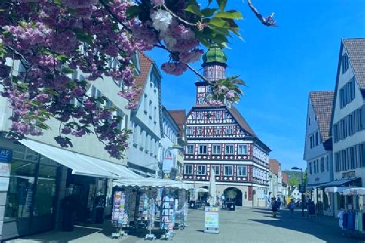 Aria, 23 — Escort in Kirchheim, Germany
