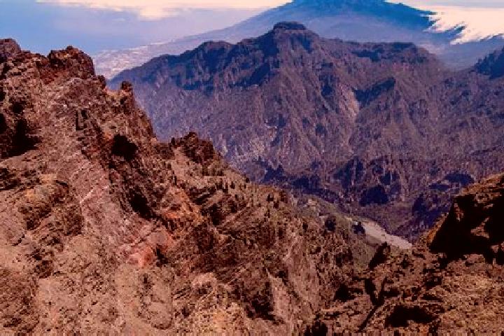 Aria, 23 — Escort in La Palma de Emenguaro, Mexico