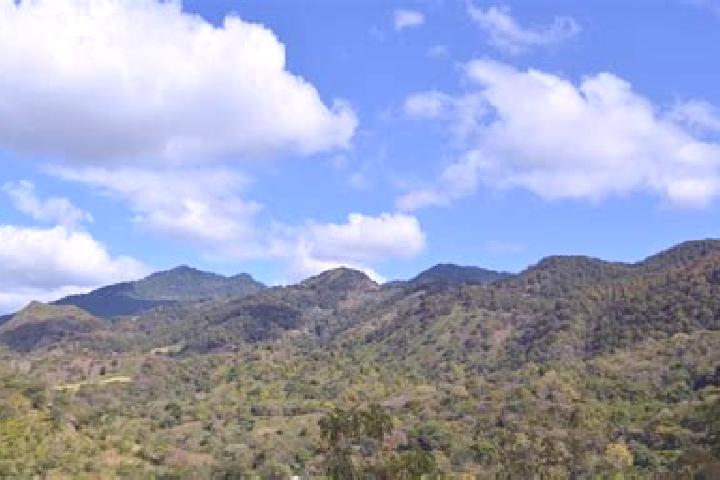 Aria, 23 — Escort in Las Sabanas, Nicaragua