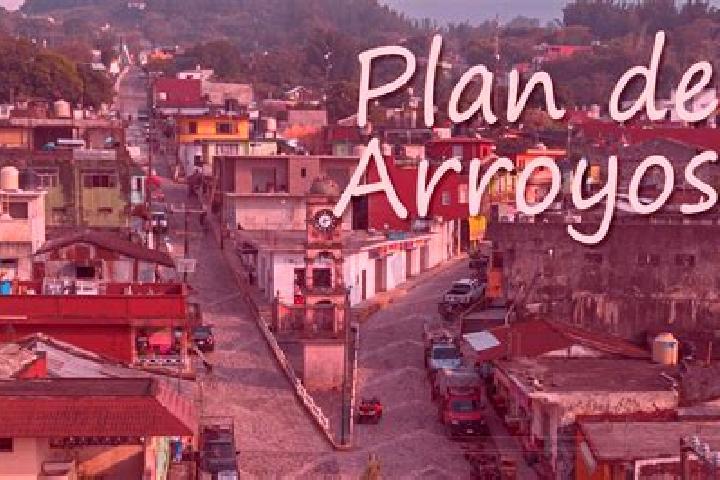 Aria, 23 — Escort in Plan de Arroyos, Mexico
