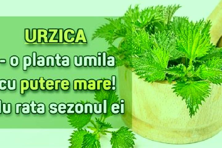 Aria, 24, a platinum blonde dark-eyed mediterranean companion based in Njombe. Offering Overnight, Massage, Prostate Massage. Available for incall and outcal...