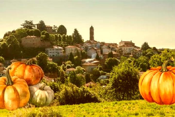 Aria, 24 — Escort in Gerbole-Zucche, Italy