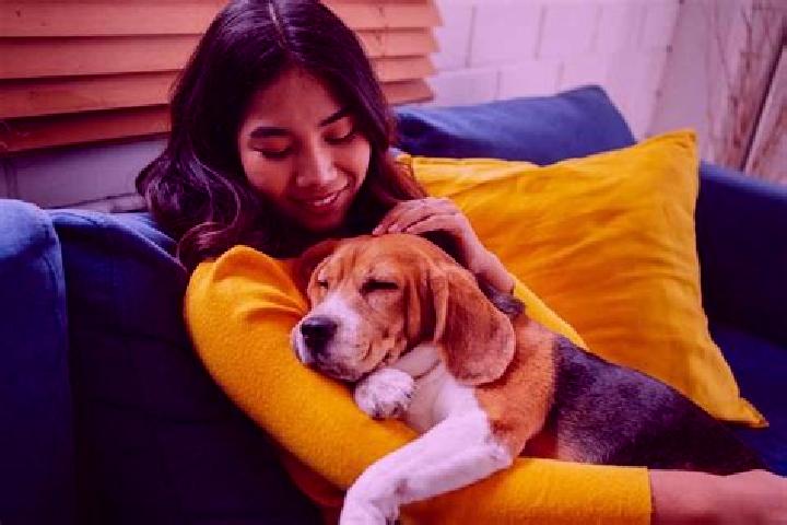 Aria, 25, a chestnut grey-eyed indian companion based in Umur. Offering Striptease, Fetish, Travel Companion. Available for incall and outcall, day and eveni...