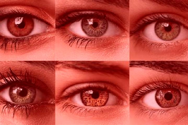 Aria, 25, a chestnut hazel-eyed middle eastern companion based in Comeglians. Offering Couples, Domination, 69, GFE. Available for incall and outcall, overni...