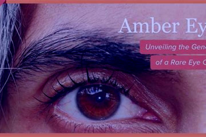 Aria, 25, a red amber-eyed slavic companion based in Avi ezer. Offering Striptease, Prostate Massage, Domination, GFE, 69. Available for incall and outcall, ...