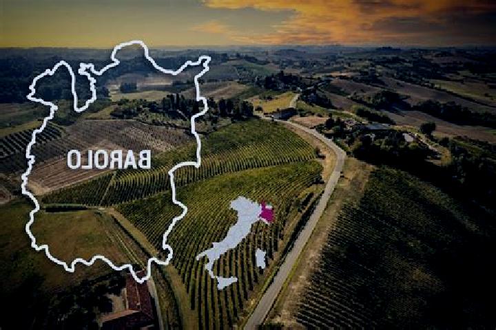 Aria, 25 — Escort in Barolo, Italy