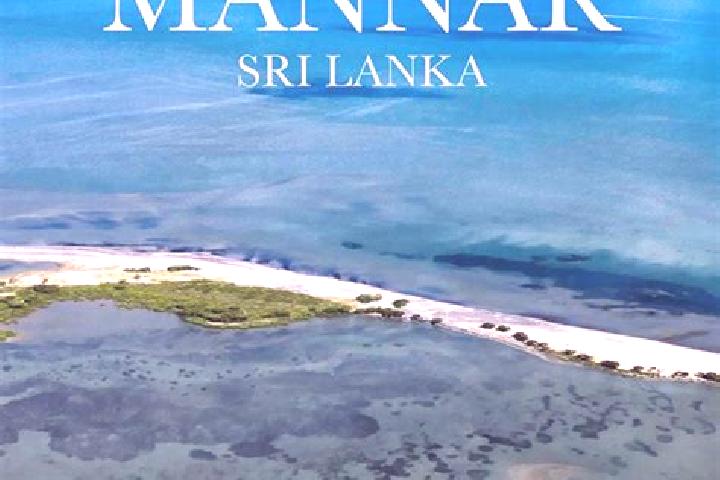 Aria, 25 — Escort in Mannar, Sri Lanka