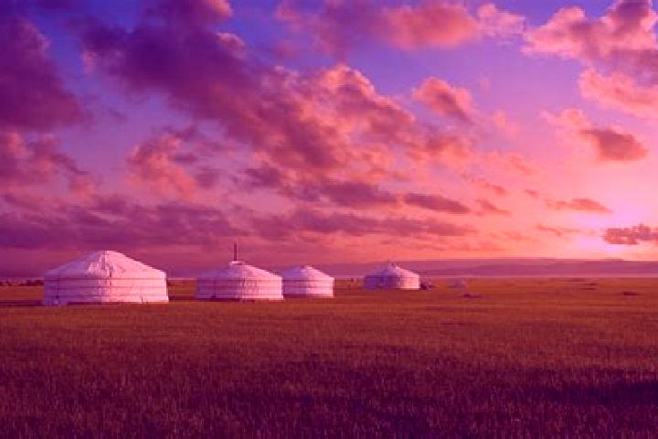 Aria, 26 — Escort in Chiri-Yurt, Russia