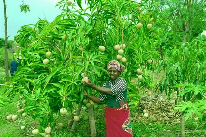 Aria, 26 — Escort in Kitui, Kenya