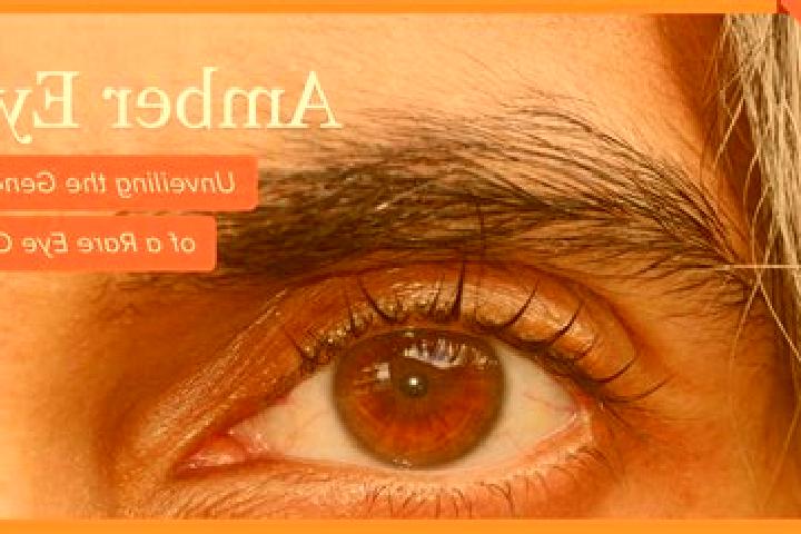 Aria, 27, a red amber-eyed indian companion based in Huacaschuque. Offering Travel Companion, BDSM, Prostate Massage, 69. Available for incall and outcall, d...