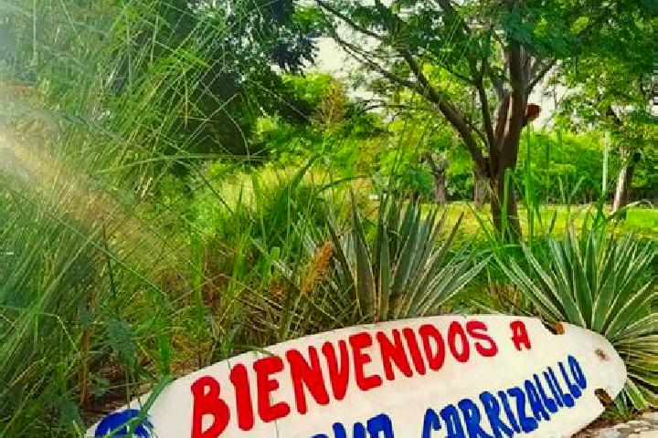 Aria, 27 — Escort in El Carrizalito, Mexico