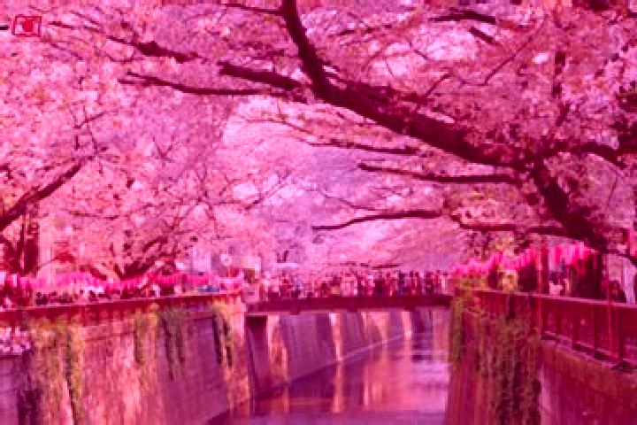 Aria, 27 — Escort in Itogawa, Japan