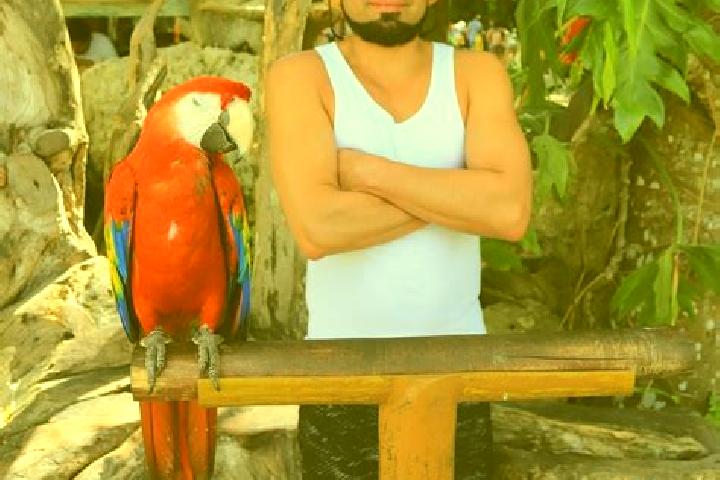 Aria, 28 — Escort in Manuel Sanchez Marmol, Mexico