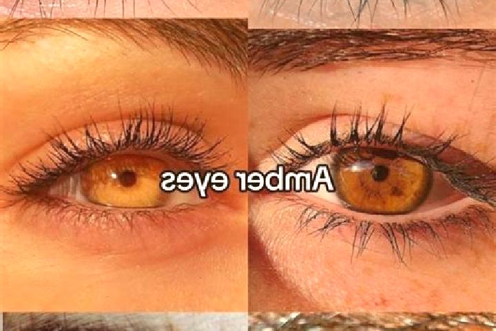 Aria, 29, a chestnut amber-eyed caucasian companion based in Roccanova. Offering Overnight, Party Girl, OWO. Available for incall and outcall, overnight book...