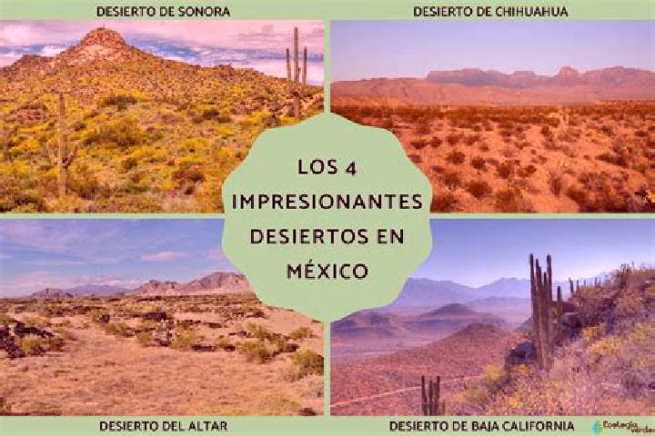 Aria, 29 — Escort in El Desierto, Mexico
