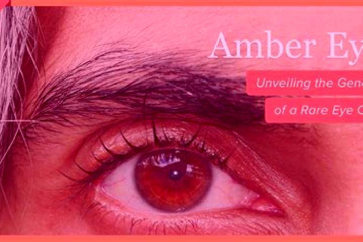 Aria, 30, a black amber-eyed indian companion based in Saint-Michel-des-Saints. Offering Party Girl, Prostate Massage, Striptease, Roleplay. Available for in...