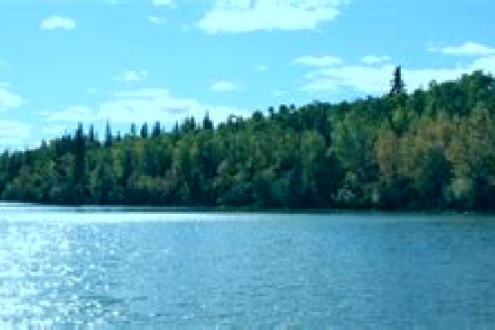 Aria, 30 — Escort in Cold Lake, Canada