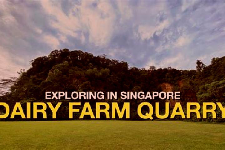 Aria, 30 — Escort in Dairy Farm, Singapore
