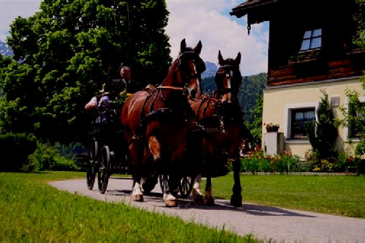 Aria, 30 — Escort in Lammertal, Austria