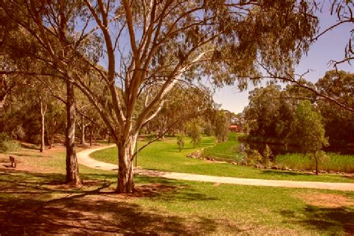 Aria, 30 — Escort in Salisbury Park, Australia