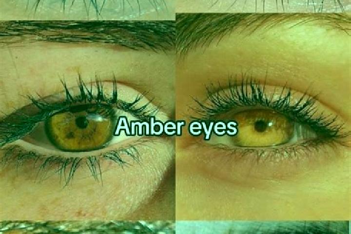 Aria, 31, a brunette amber-eyed middle eastern companion based in Berieoa. Offering CIM, Duos, Dinner Date, A-Level. Available for incall and outcall, overni...