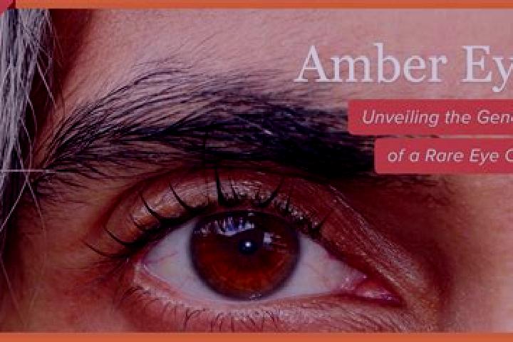 Aria, 31, a red amber-eyed mediterranean companion based in Ane. Offering 69, Erotic Massage, Couples, A-Level. Available for incall and outcall, overnight b...
