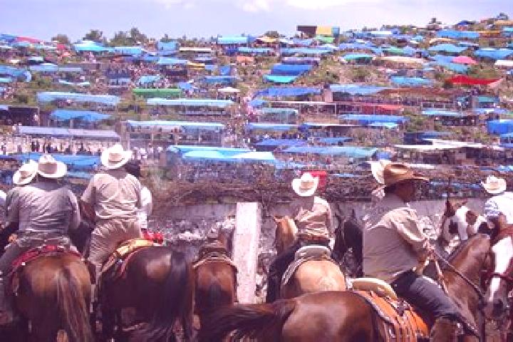 Aria, 31 — Escort in Ayotlan, Mexico