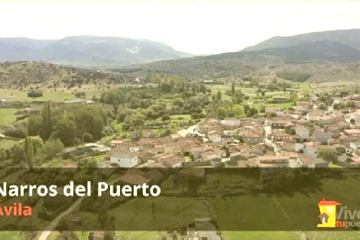 Aria, 31 — Escort in Narros del Castillo, Spain