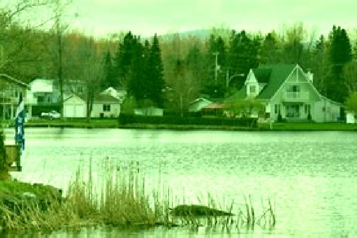 Aria, 31 — Escort in Roxton Pond, Canada