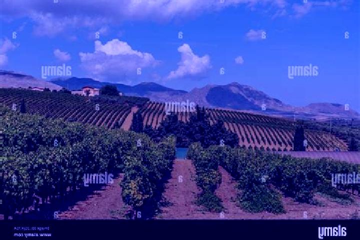 Aria, 31 — Escort in San Cipirello, Italy