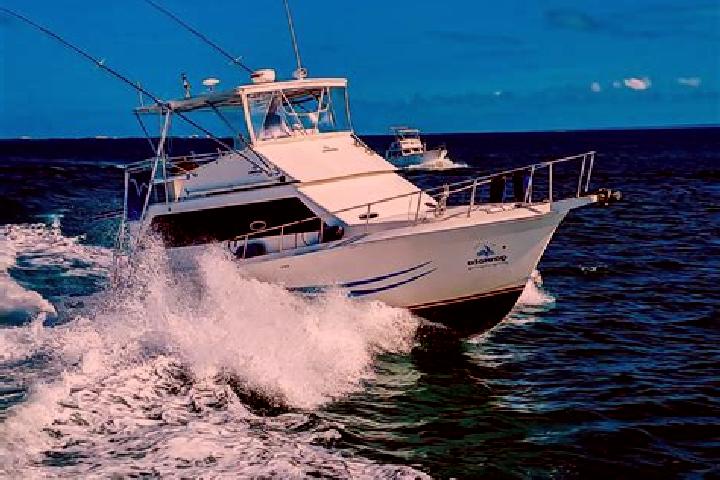 Aria, 32 — Escort in La Pesca, Mexico